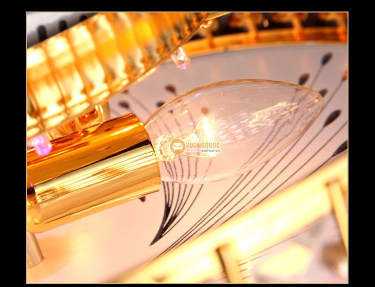 Đèn ốp trần led nhập khẩu CM165-6